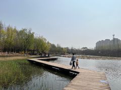 -前关湿地公园
