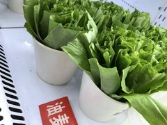 油麦菜-钢管厂五区小郡肝串串香(南山店)