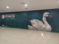 -鹏欣水游城
