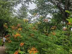 -三亚亚龙湾金棕榈度假酒店