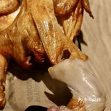 吃鸡小分队🐔在哪里‼️肯德基又上新啦‼️
