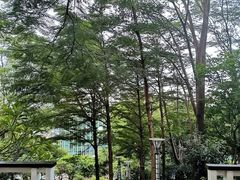 -广州国际生物岛山地公园揽胜园