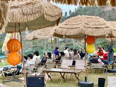 -桃源山庄·水蜜桃采摘·柴火鸡·烧烤团建(龙泉山店)