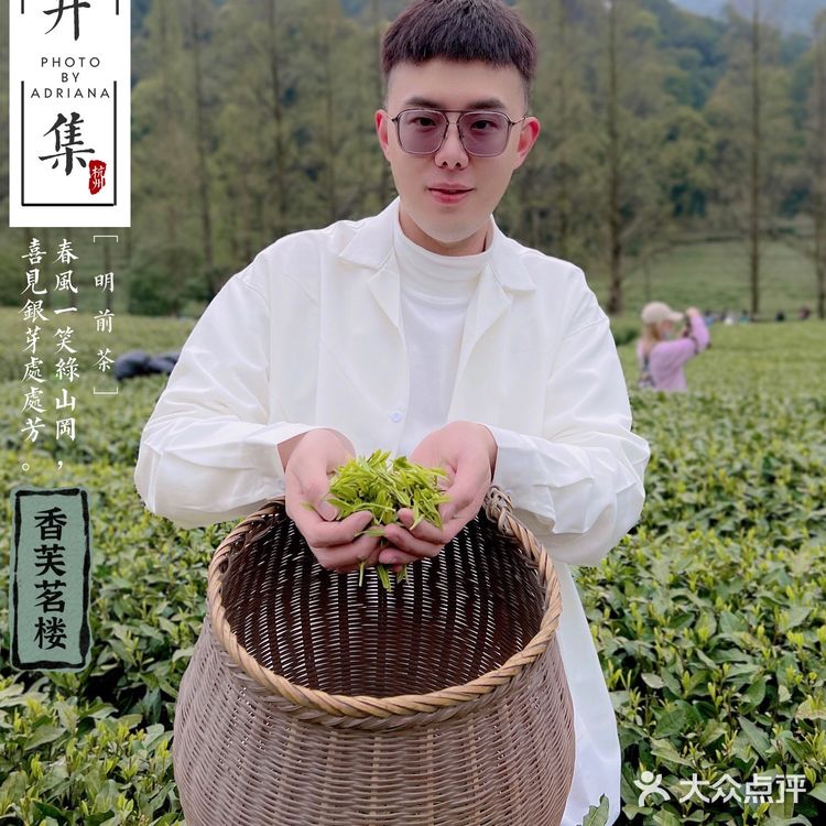 杭州春日好去处｜梅家坞香芙茗楼品味茶文化 春天的杭州