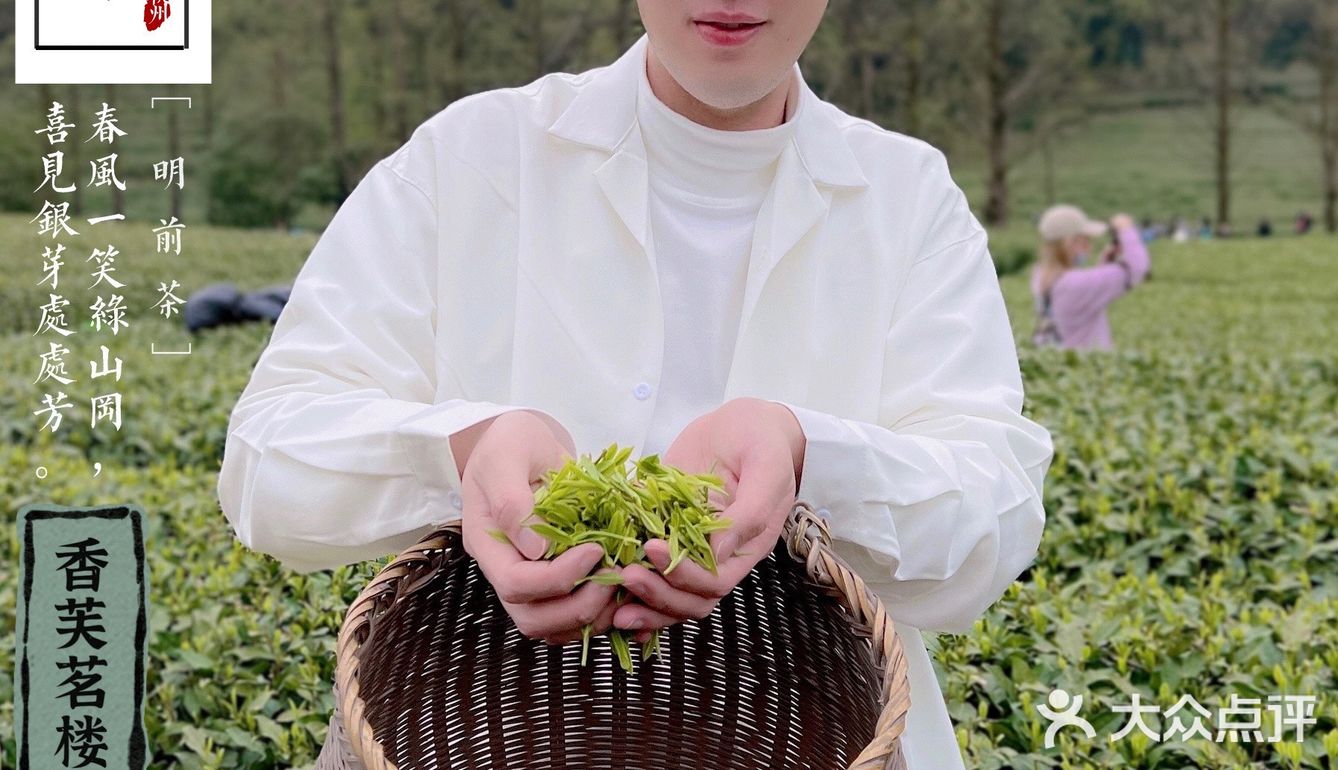 杭州春日好去处｜梅家坞香芙茗楼品味茶文化 春天的杭州