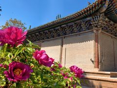 -张掖大佛寺景区