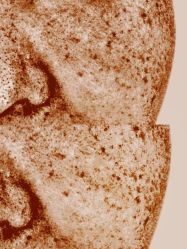 -和颜一美轻医美连锁