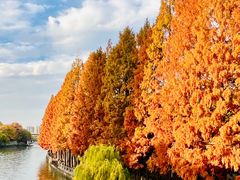 -运河游船(武林门码头)