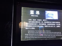 -南昌海洋公园