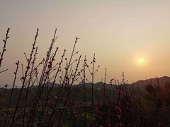 -军营村