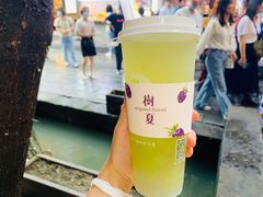 -树夏(锦里店)
