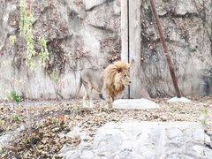 -北京动物园