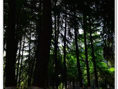 -陕西师范大学(雁塔校区)