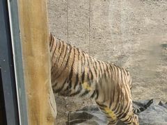 -济南野生动物世界
