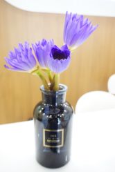 -悦芳庭美肤美体品牌集合店