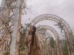 -大塘金香草谷
