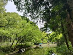 -东明山森林公园