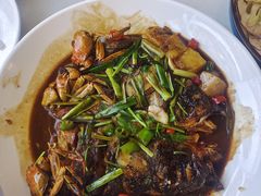 -江南大院松鼠桂鱼(奉贤宝龙店)