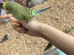 -怪兽屋·羊驼·猫咖·狗咖(俊华广场店)