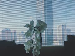 -上海璞麗酒店