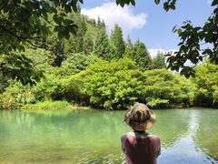 -高荡千年布依古寨旅游景区