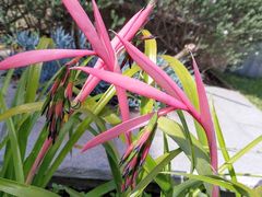-维乐口腔医院(福清院)