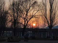 -长白岛森林公园