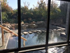 -大连大和馆观山阁温泉酒店