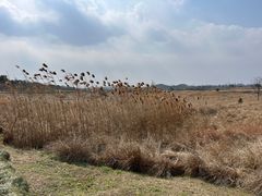 -良渚古城遗址公园