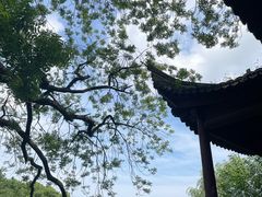 -八大山人梅湖景区