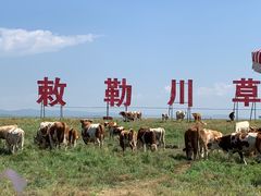 -敕勒川草原文化旅游区