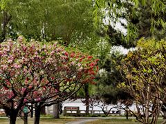 -莲花池公园