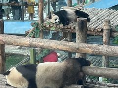 -大连森林动物园