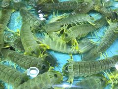 -渔民新村(番禺总店)