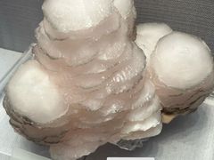 -湖南省地质博物馆