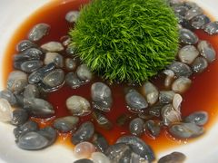 -老绍兴养和饭店(向阳不夜城店)