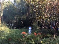 -西安市长乐公园
