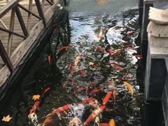-民国红公馆·艺文空间(颐和路店)
