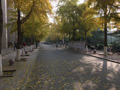 -北京化工大学(东校区)