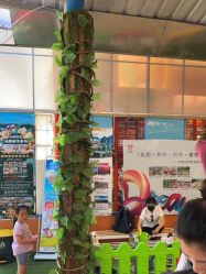 点击看大图 -寻石问宝研学亲子乐园(朝阳公园店)