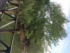 iphone_upload_pic-白塘生态植物园