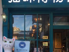 -猫咪博物馆(顶澳仔猫街店)