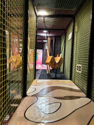 -meland亲子乐园(深圳领展中心城店)