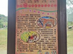 -沈阳森林动物园