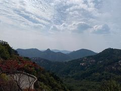 -鲁山国家森林公园