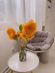 -安那般那皮肤年轻化ANAPANA