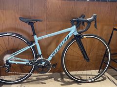 -SPECIALIZED闪电自行车(北苑路店)