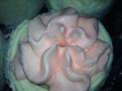 iphone_upload_pic-中关村茶点