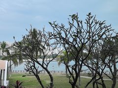 -雾山韩式烤肉·海南糟粕&椰子鸡火锅·海景餐厅(三亚绿发山海天JW万豪酒店)
