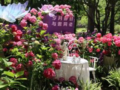 -上海滨江森林公园
